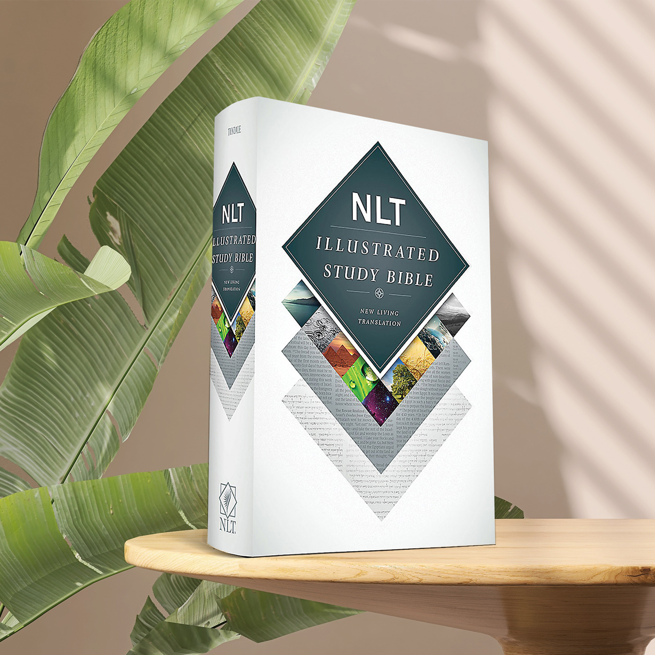 NLT Illustrated Study Bible